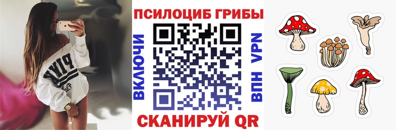 mega ONION  где найти   Звенигово  Галлюциногенные грибы ЛСД 